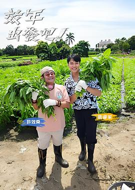 你还在被面积缩水欧美女摔跤AV,亚洲在线成人Av网站